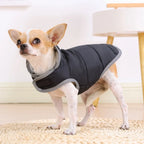 Manteau réversible chaud - chien et chat