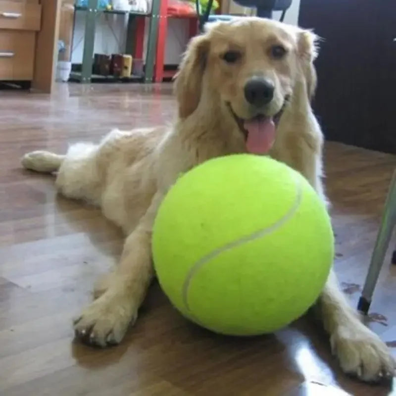 Balle de tennis géante pour chien