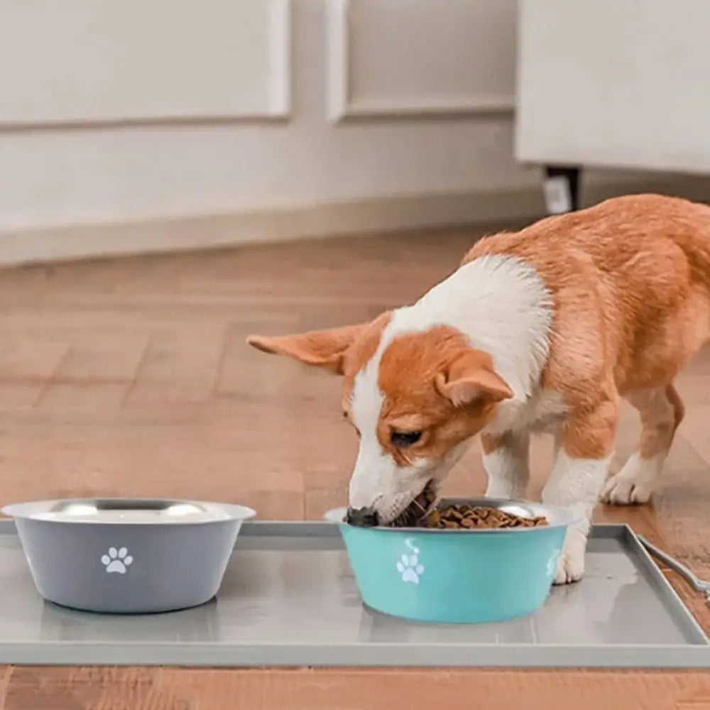 Bol antidérapant en acier inoxydable pour chien et chat
