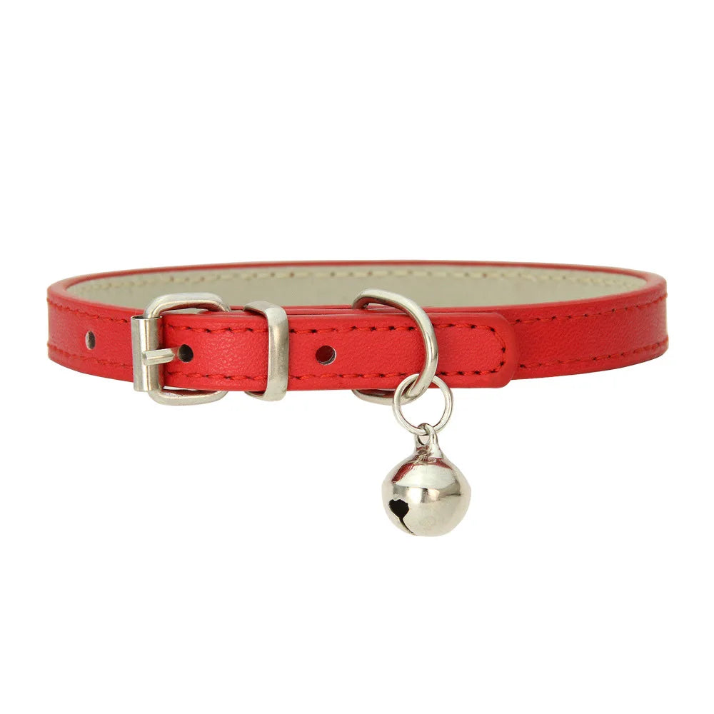 Collier en cuir pour chat et petit chien