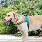 Harnais en Nylon Rembourré + Laisse