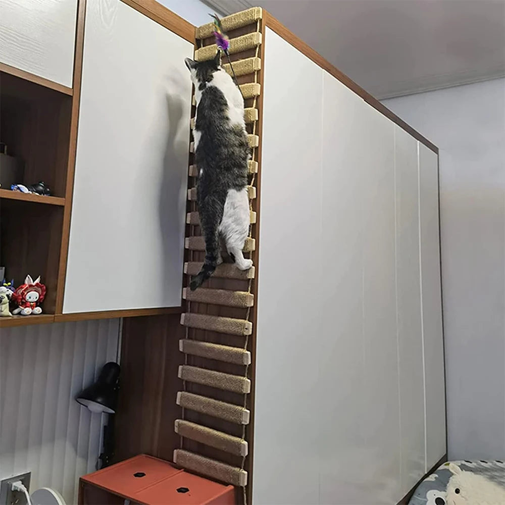 Pont d’Escalade pour Chat