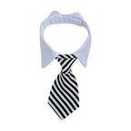 Collier cravate rayé pour chat et petit chien