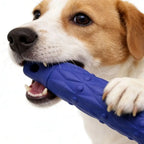 Bâton de mastication - chien