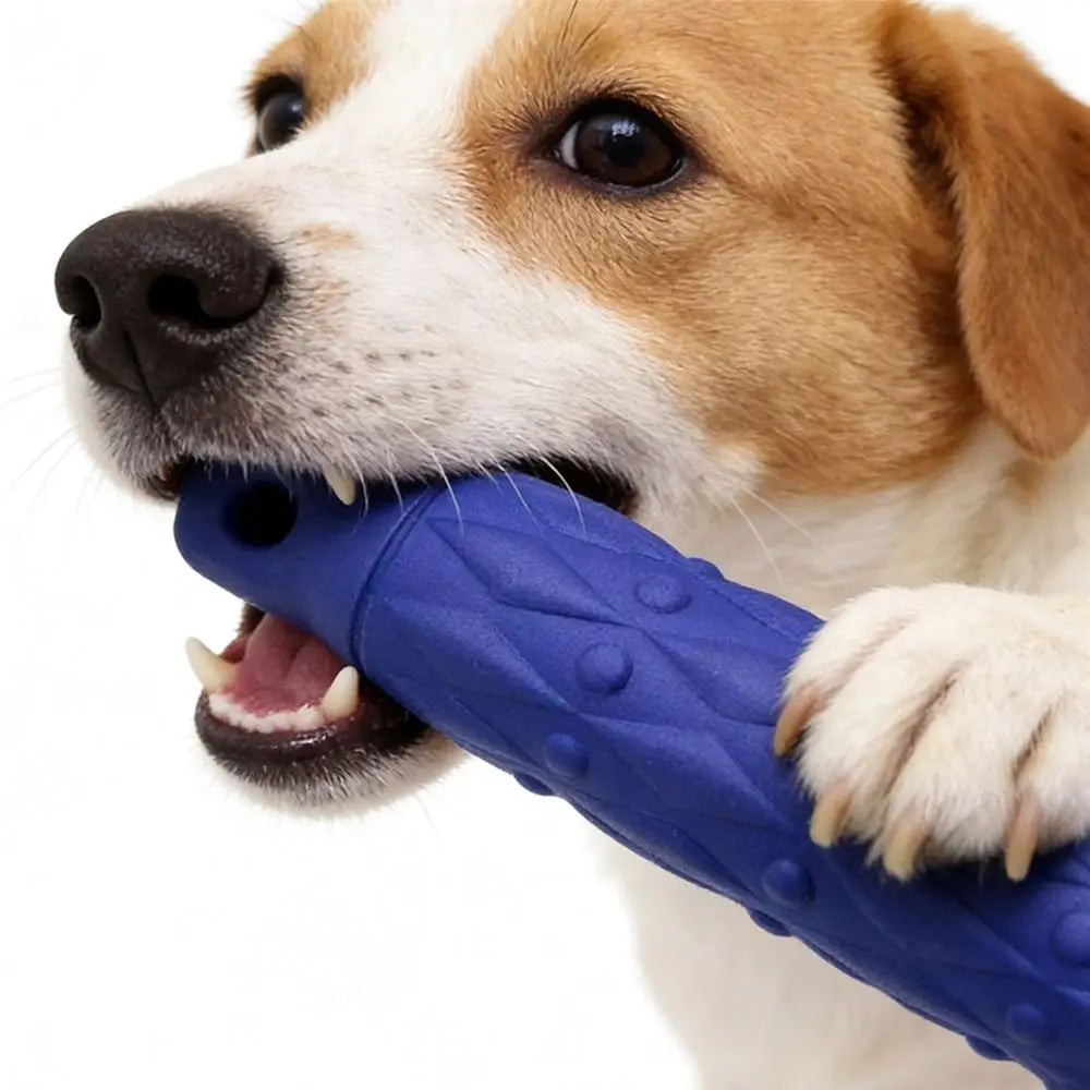 Bâton de mastication - chien