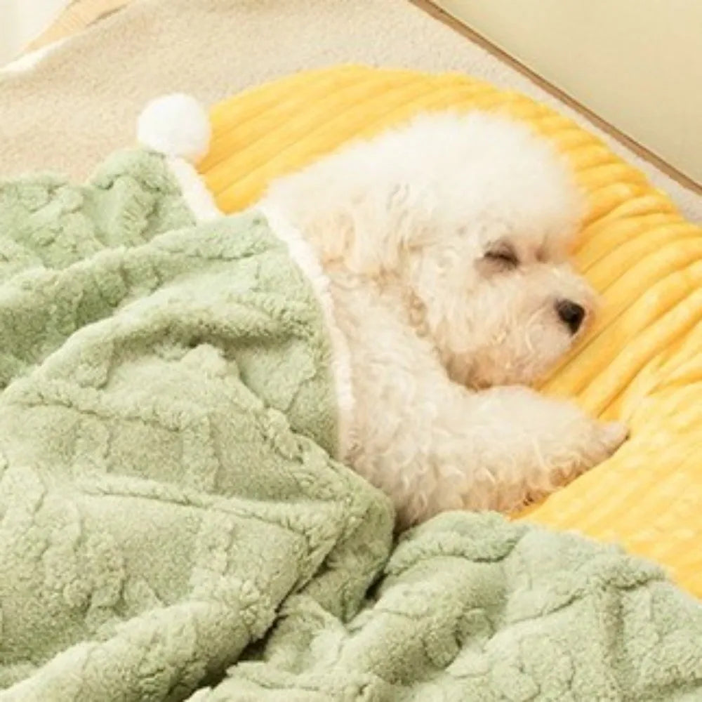 Plaid Cocooning Chat & Chien