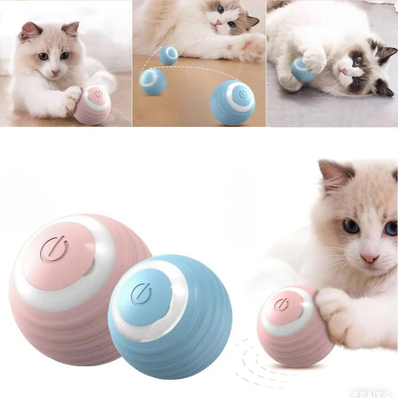 Jouet balle roulante automatique pour chat