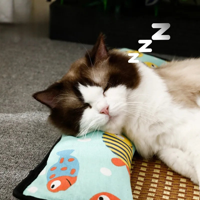 Tapis rafraîchissant été en rotin avec oreiller – Chat & petit chien