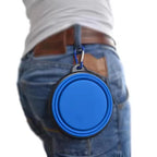 Bol pliable en silicone pour chien et chat