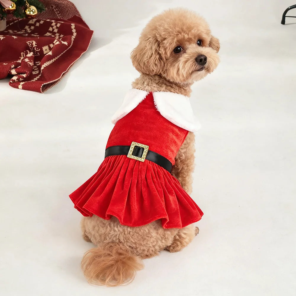 Robe de Noël pour chien & chat