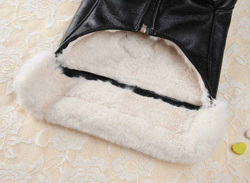 Veste cuir polaire - chien et chat
