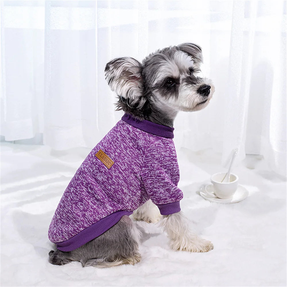Pull classique d’hiver - chien ou chat