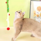 Teaser de Noël Vert & Rouge pour Chat