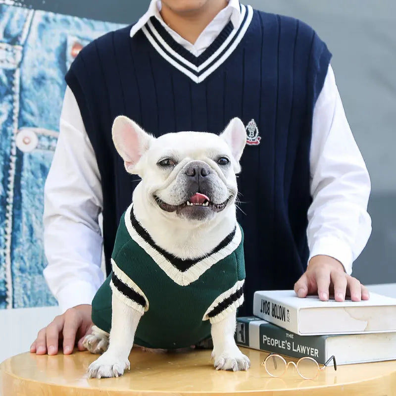 Pull d’hiver col V style collège - chien et chat