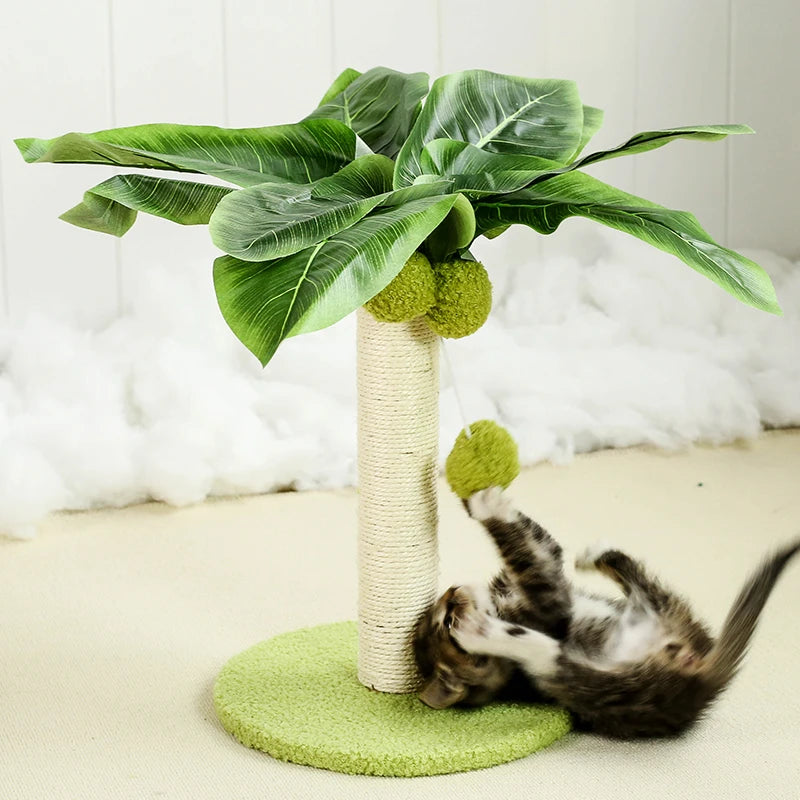 Griffoir palmier pour chat avec balle suspendue