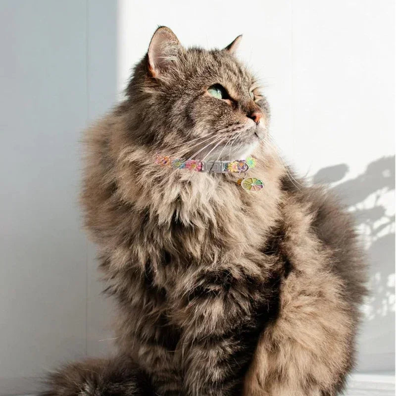 Collier pour chat avec pendentif fleur