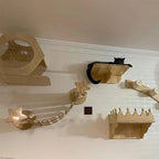 Pont d’Escalade pour Chat