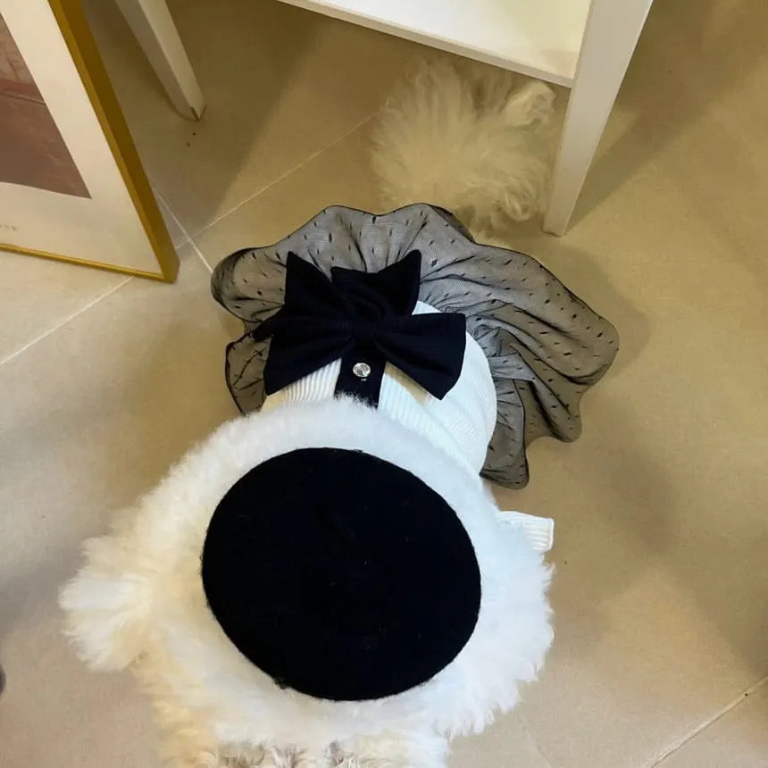 Robe et costume de luxe pour chien et chat