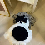 Robe et costume de luxe pour chien et chat