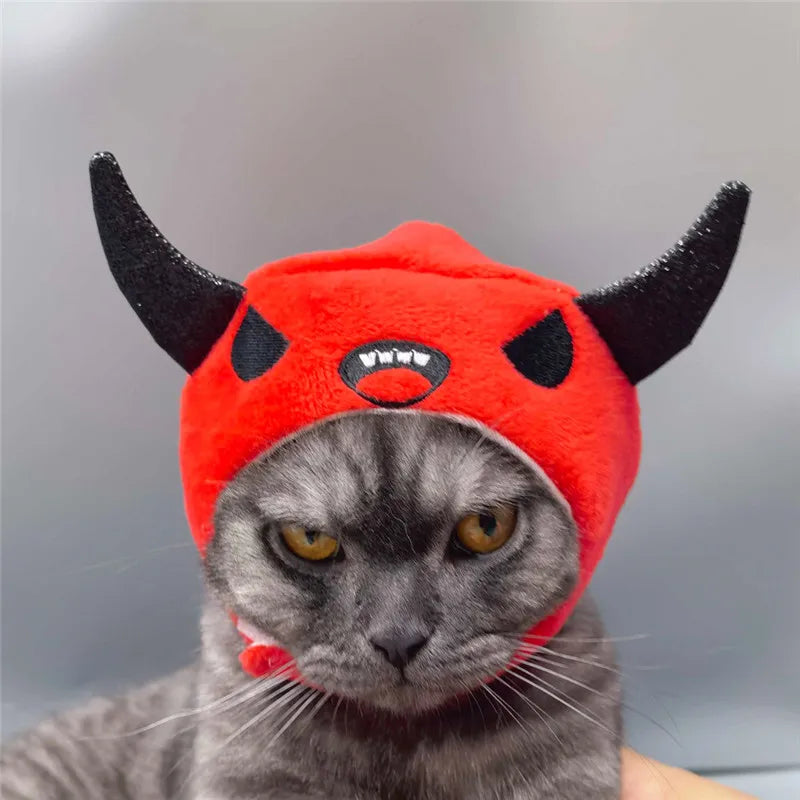 Chapeau Halloween - chat ou petit chien