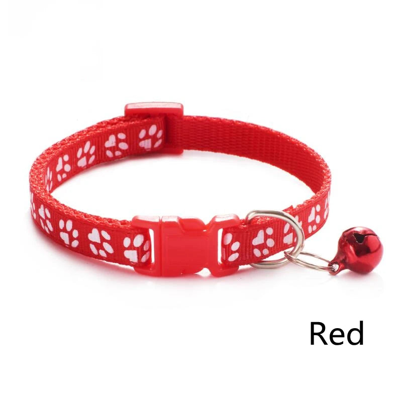Collier réglable empreinte colorée pour chat