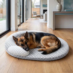 Coussin rafraîchissant avec oreiller - chien et chat