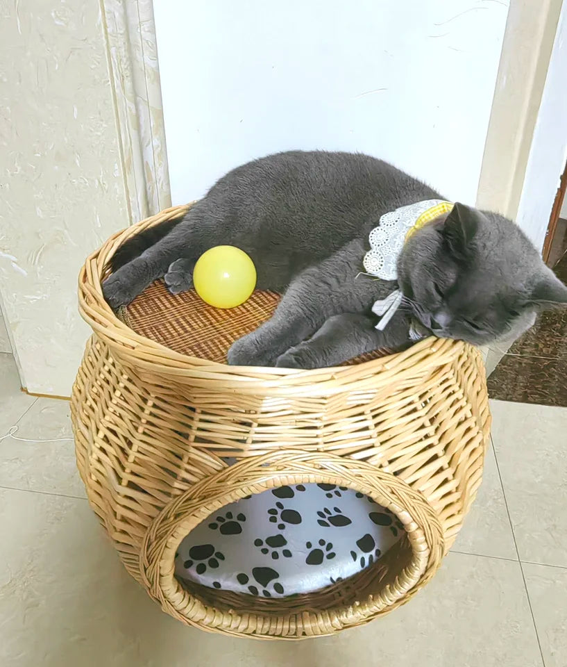 Maison en rotin pour chat