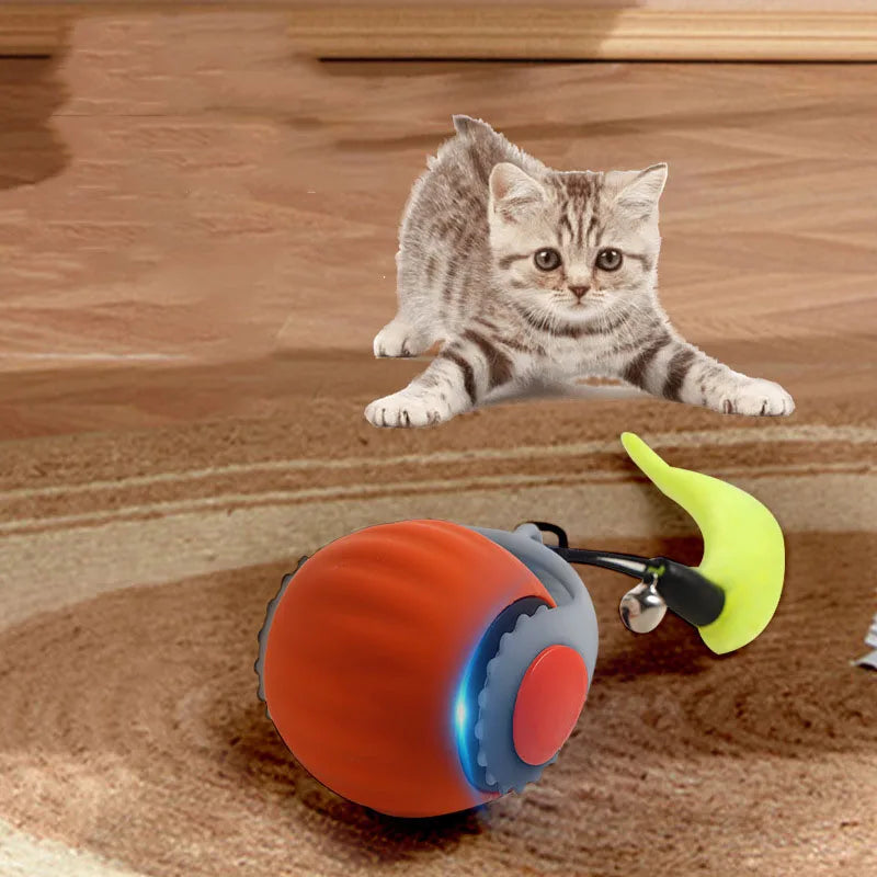 Balle interactive intelligente et rechargeable pour chat