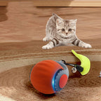 Balle interactive intelligente et rechargeable pour chat