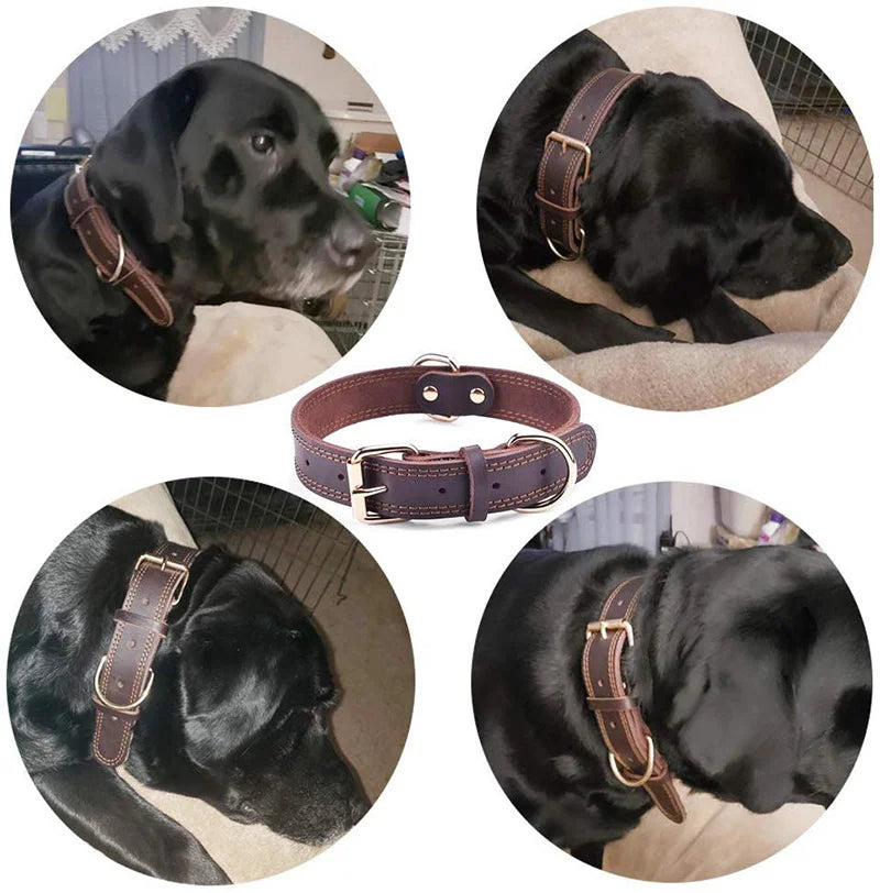 Collier cuir véritable - chien