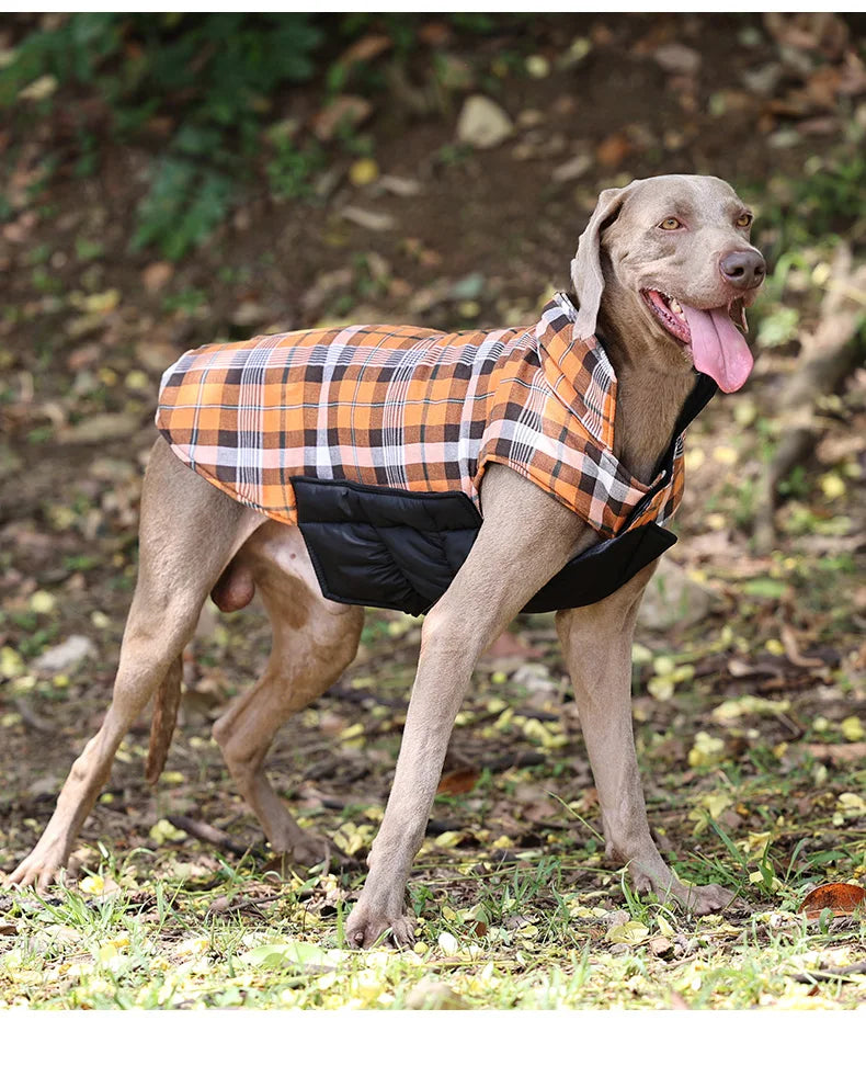 Veste imperméable réversible pour chien