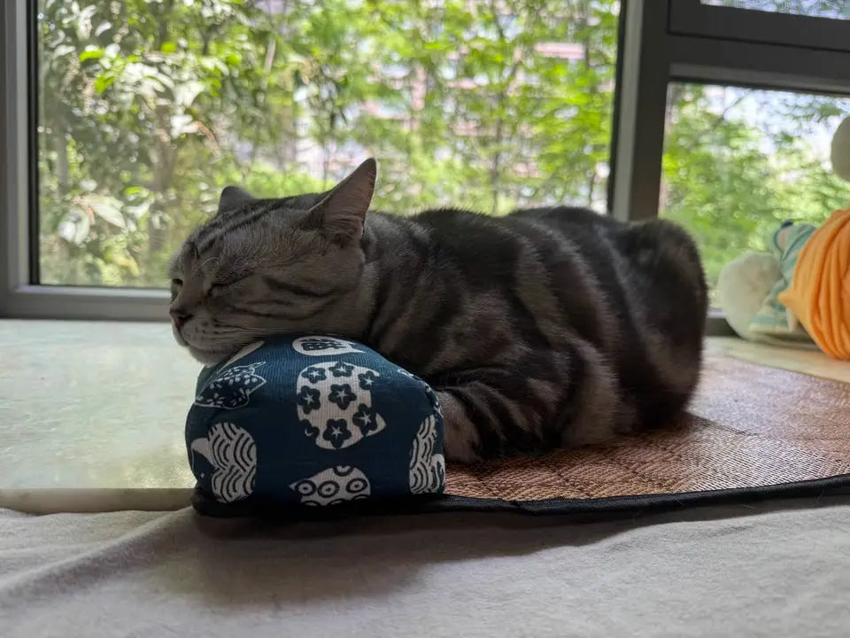 Tapis d’Été en Rotin avec Traversin