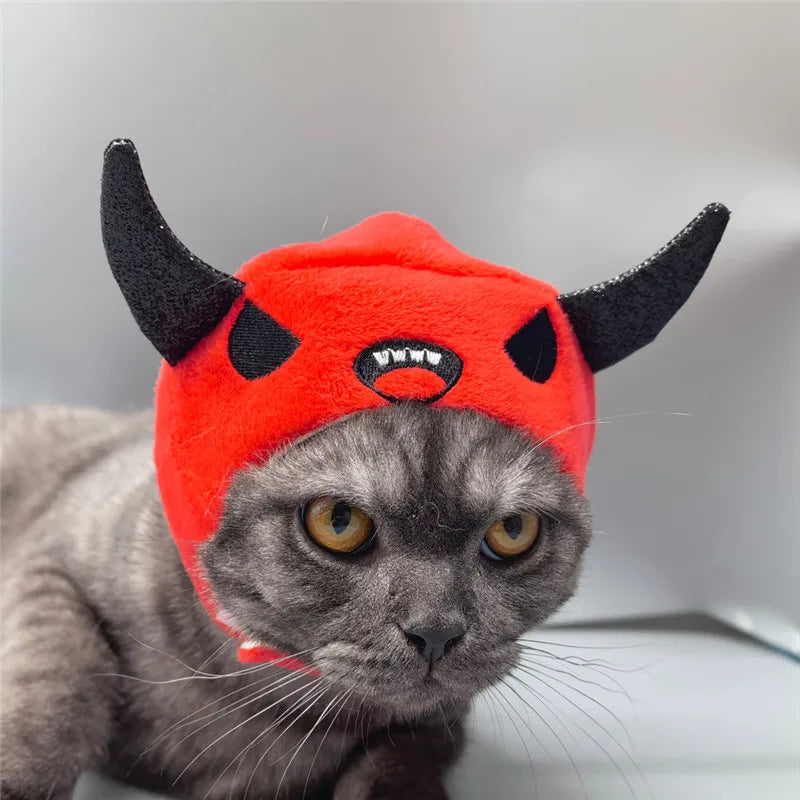 Chapeau Halloween - chat ou petit chien