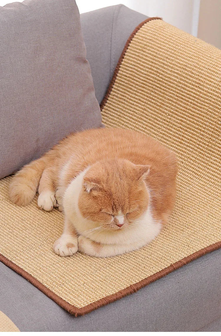 Tapis griffoir en sisal pour chat et protection canapé