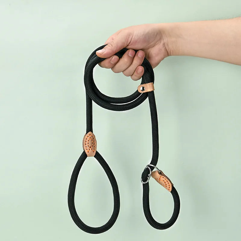 Laisse corde avec collier coulissant réglable pour chien