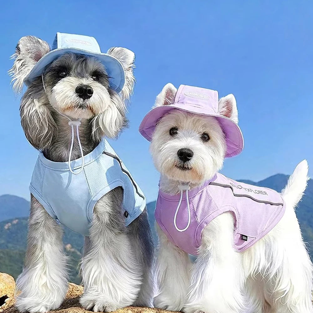 Gilet rafraîchissant avec casquette - chien ou chat