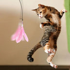 Baguette plume interactive pour chat