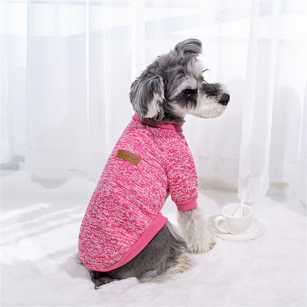 Pull classique d’hiver - chien ou chat