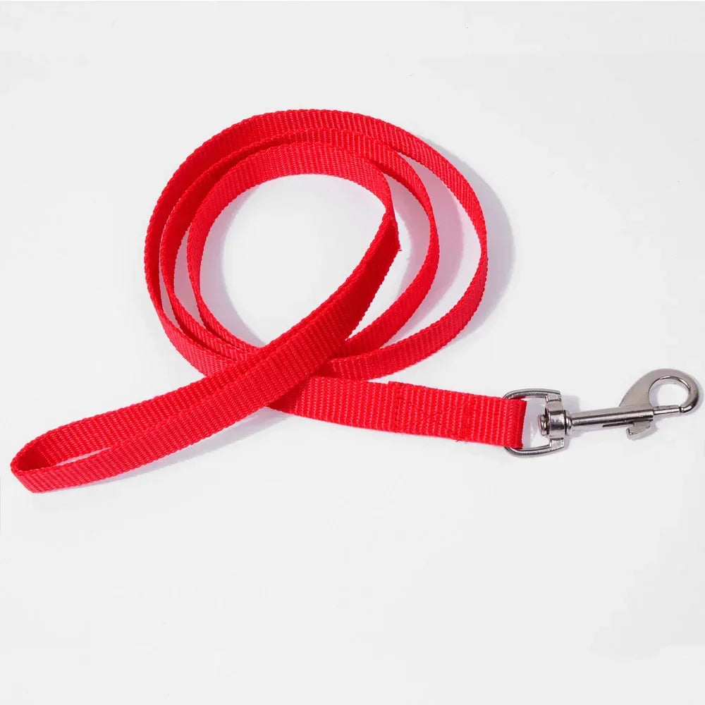 Laisse nylon - chat