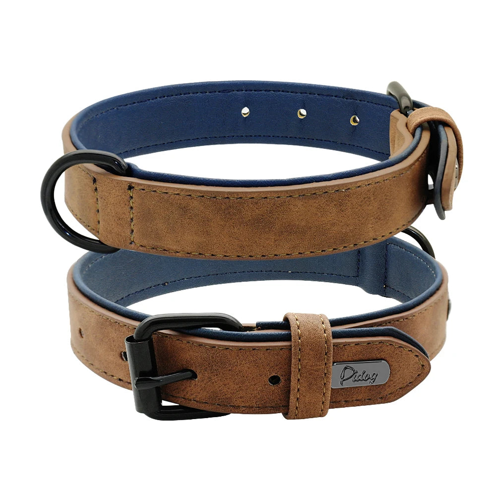 Collier en cuir rembourré – chien