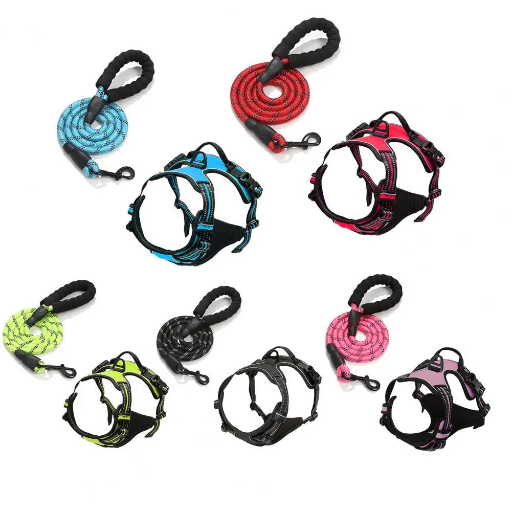 Harnais confort anti-traction avec laisse - chien