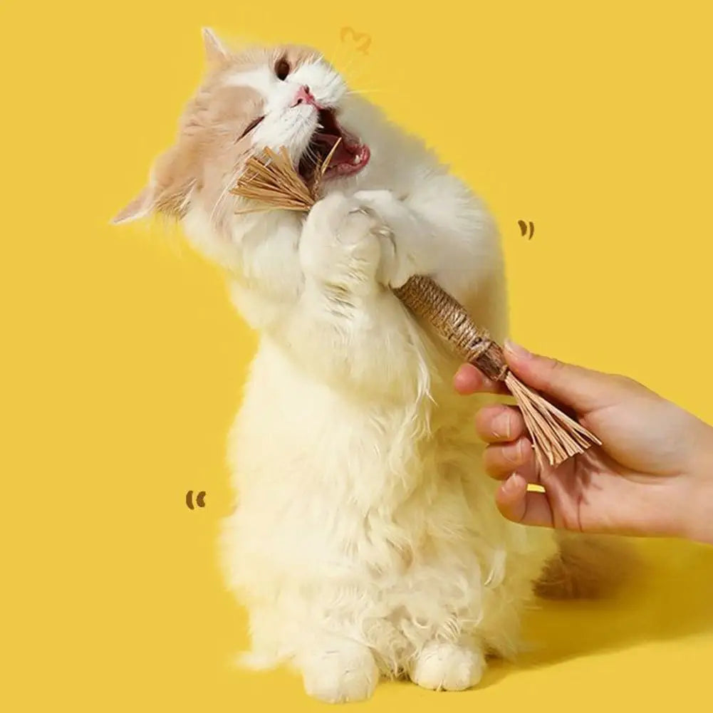 Bâtonnets à mâcher pour chat