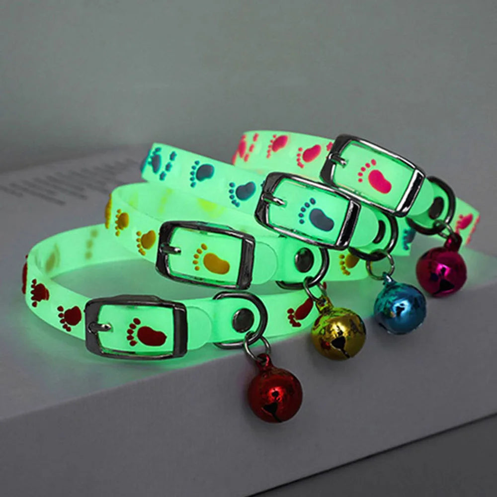 Collier lumineux - chat