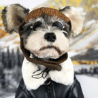 Veste cuir polaire - chien et chat