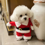 Tenue Père Noël pour chien & chat