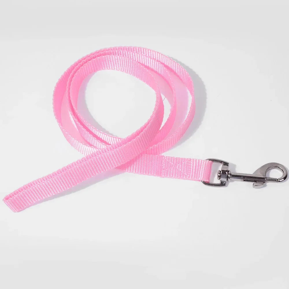 Laisse en nylon pour chat