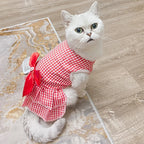 Robe d’été rayée pour chat