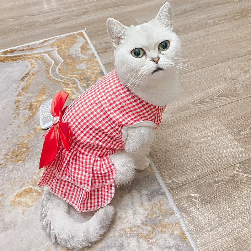 Robe d’été rayée pour chat
