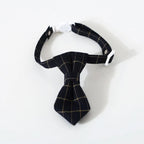 Collier cravate chic pour chat et petit chien