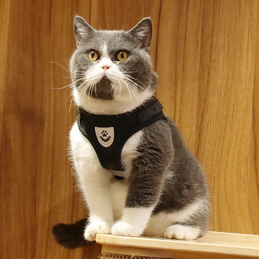 Harnais réglable et respirant pour chat et petit chien